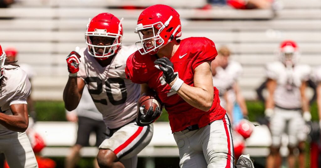 Georgia TE Lawson Luckie