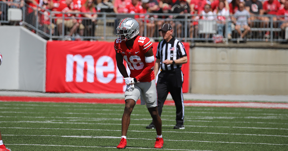 Ohio State Buckeyes put potential on display in spring game