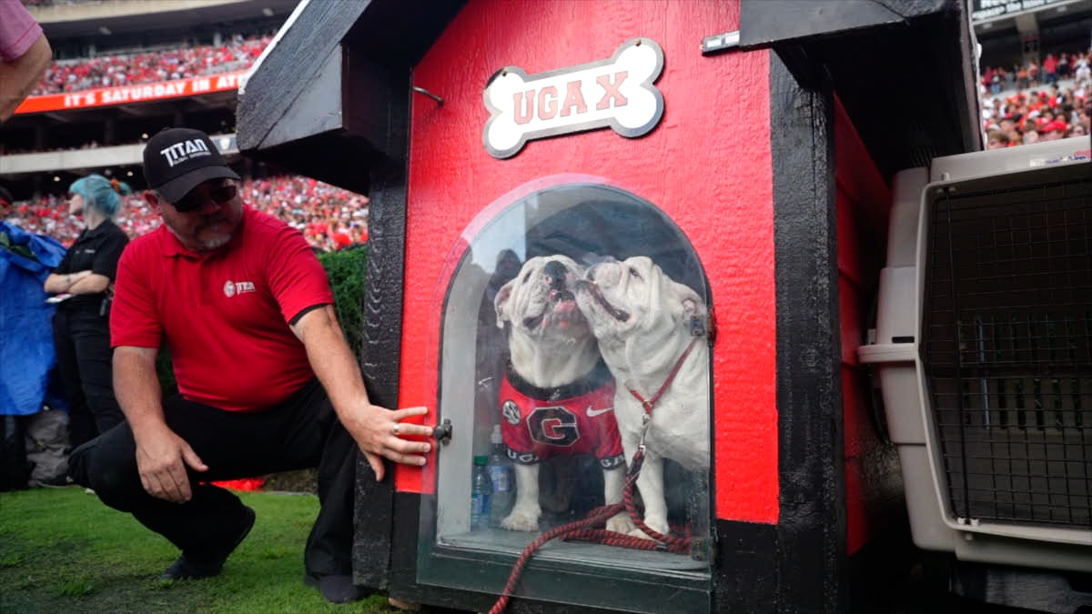 Georgia mascot Uga X to retire; Uga XI, named Boom, to be 'collared' at  ceremony Saturday - The Athletic