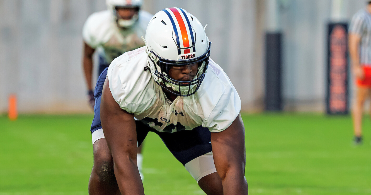 Auburn sophomore DL Tobechi Okoli enters the transfer portal