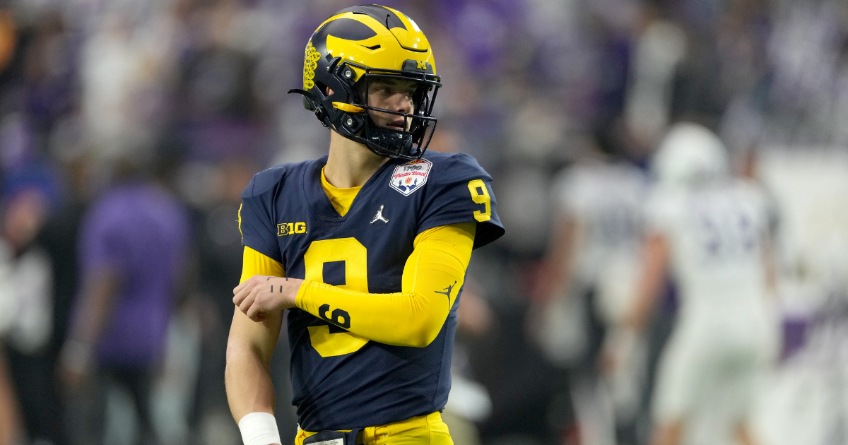 Snap counts, PFF grades: Roman Wilson leads Michigan offense with  incredible TD grab 