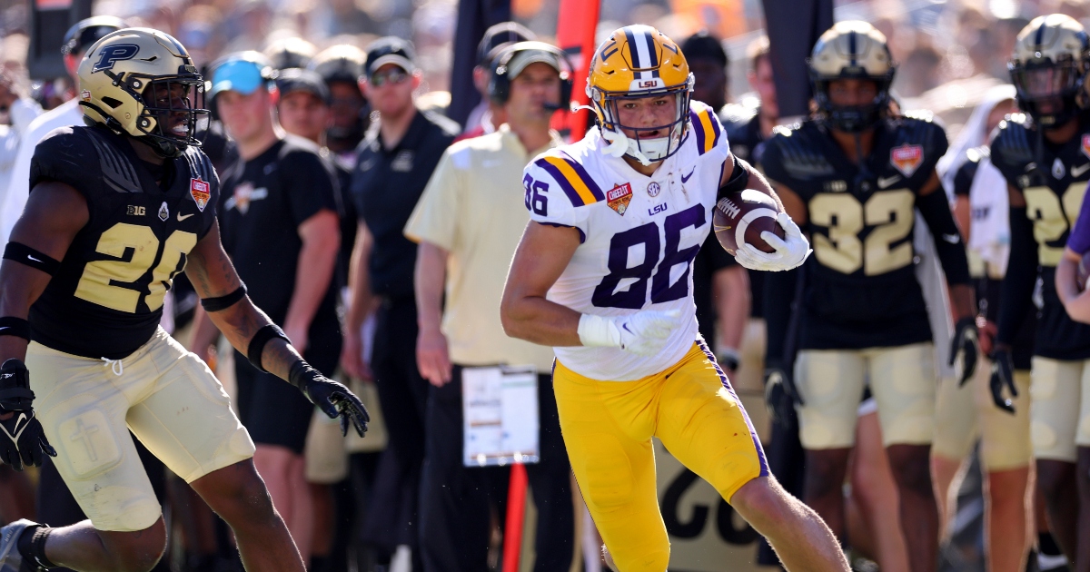 LSU’s Mason Taylor named Mackey Award Player of the Week