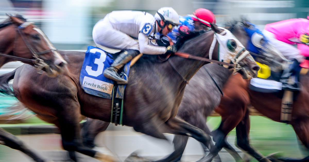 Kentucky Derby Dispatch Thrill of Victory and Agony of Defeat