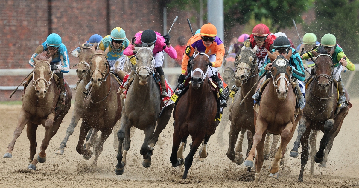 12th Horse Dies At Churchill Downs In Span Of A Month