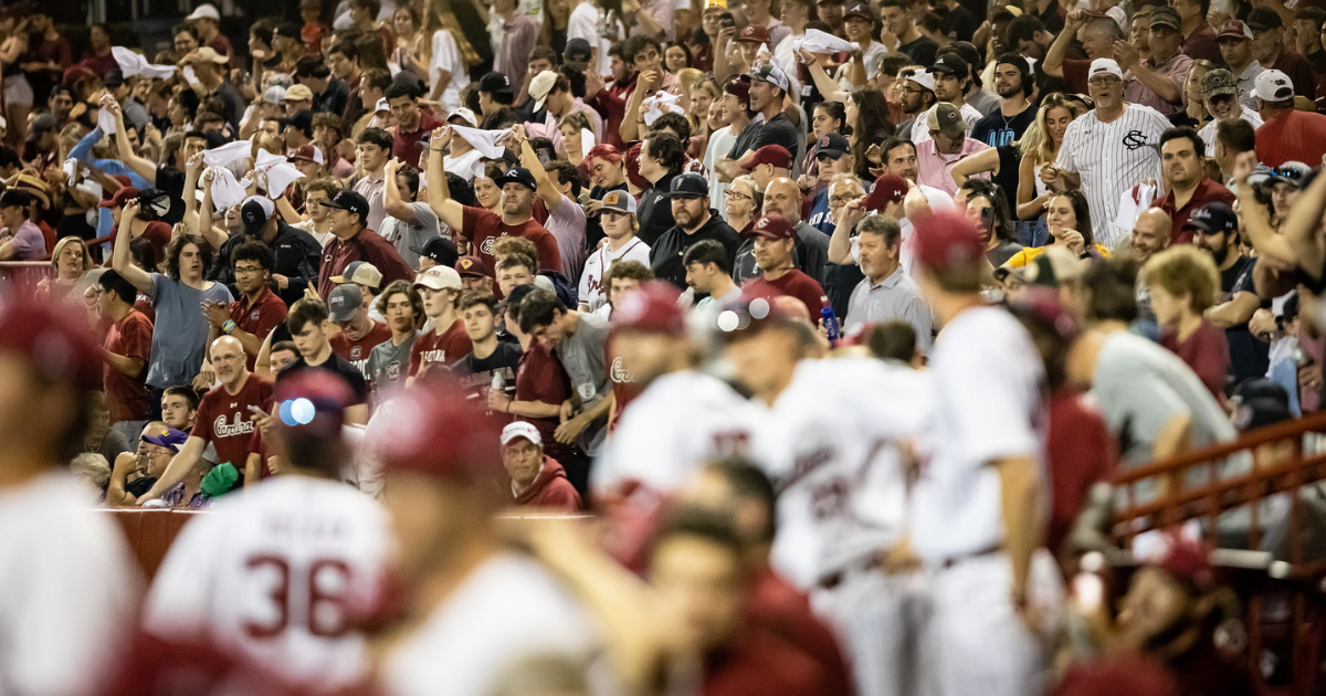 Postseason baseball is coming back to South Carolina