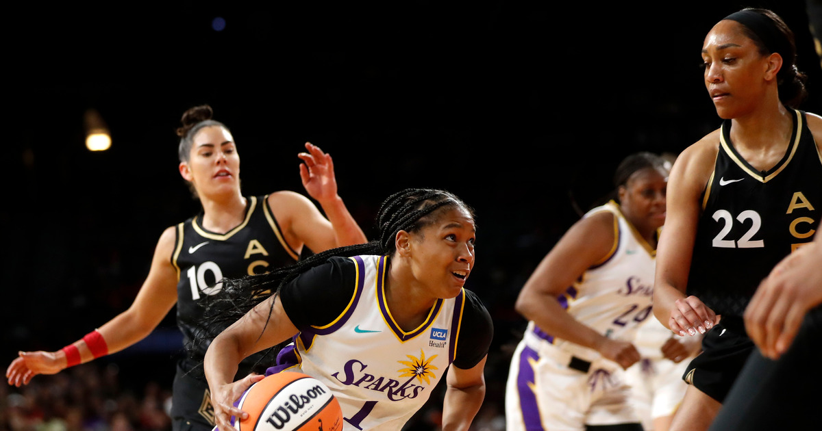 Gamecocks in the WNBA: Week 1