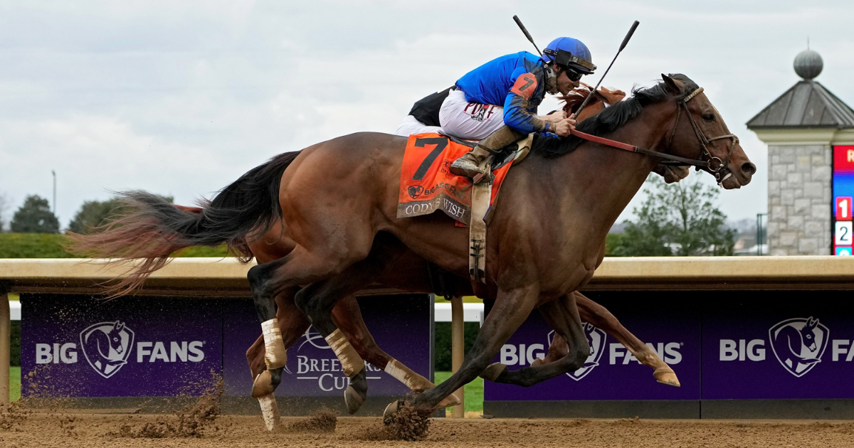 Horse Racing Star Power on Display Belmont Stakes Weekend On3