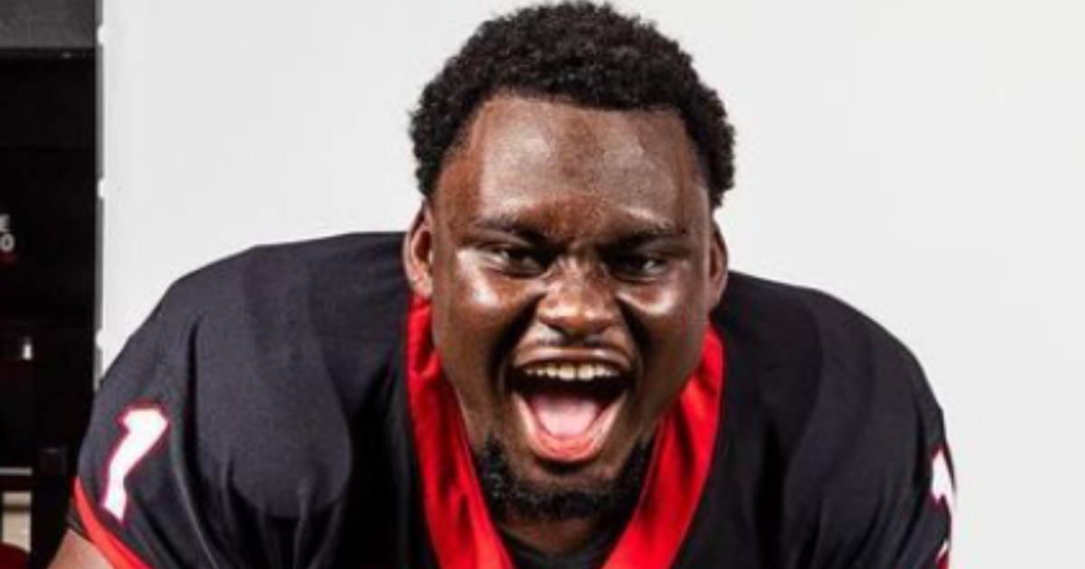 Second-year surge: Georgia defensive lineman Nnamdi Ogboko