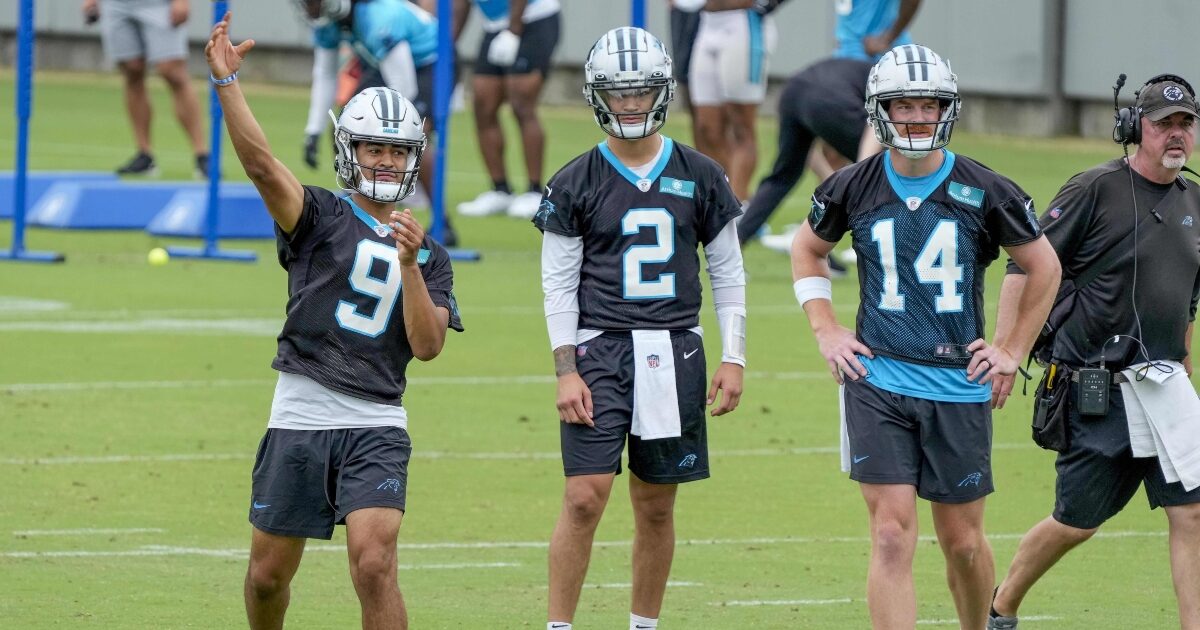 Hayden Hurst Catches First TD As A Carolina Panther From Bryce