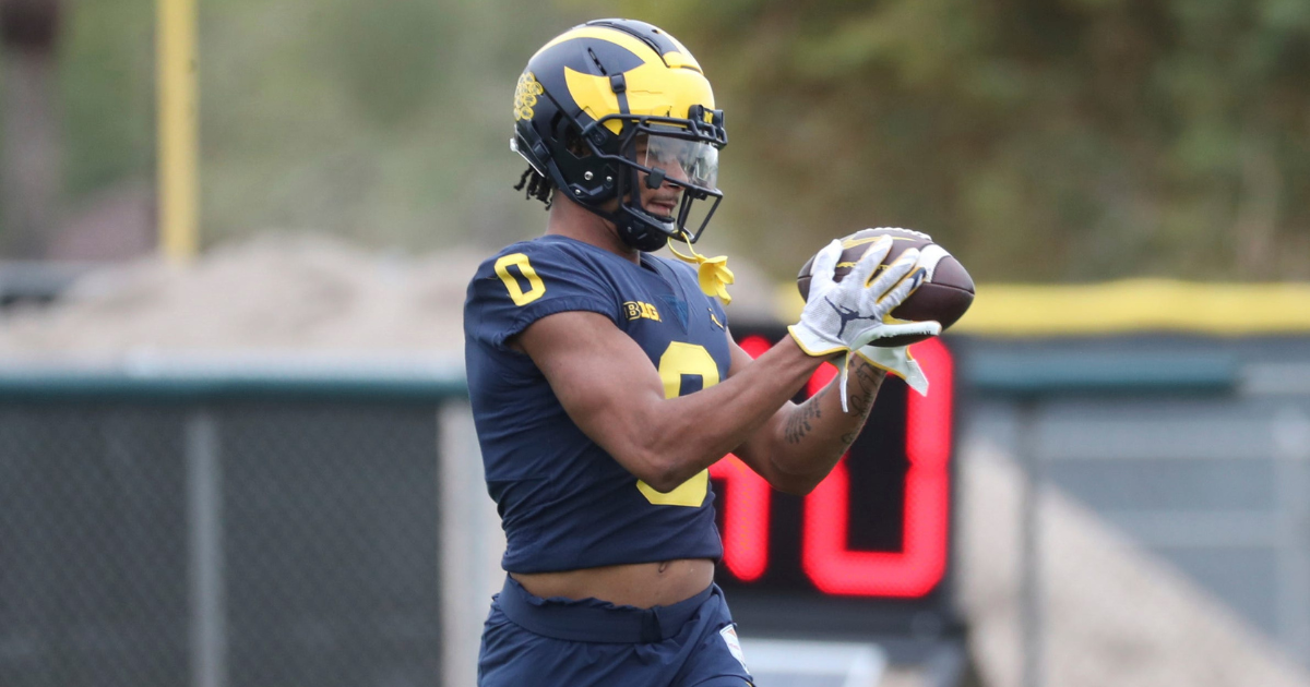 Snap counts, PFF grades: Roman Wilson leads Michigan offense with  incredible TD grab 