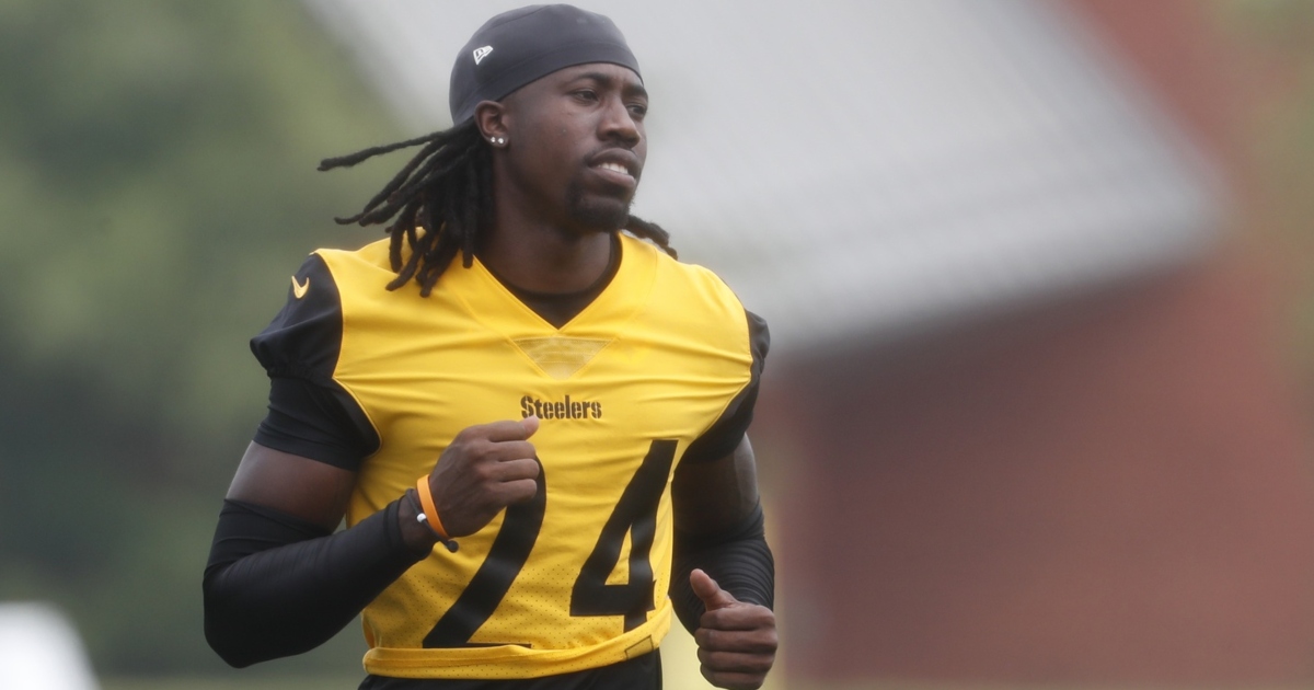 Steelers OTAs Takeaways: Peterson Starts Mentoring Porter Jr.