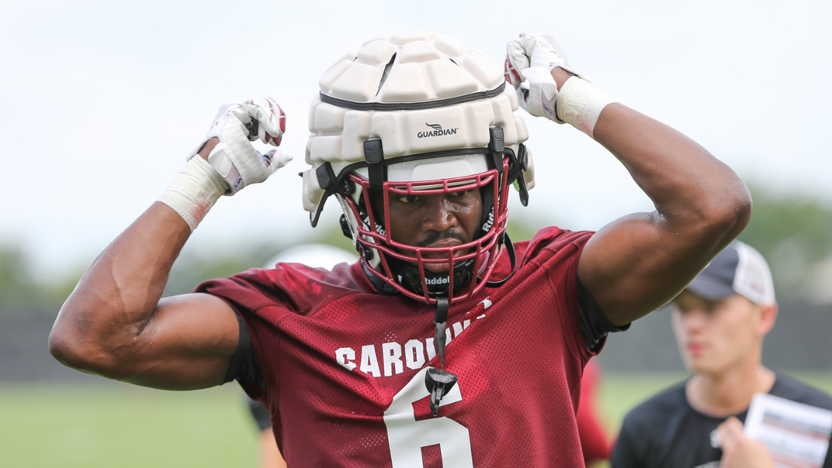 New faces in tight ends room fitting in well with South Carolina offense