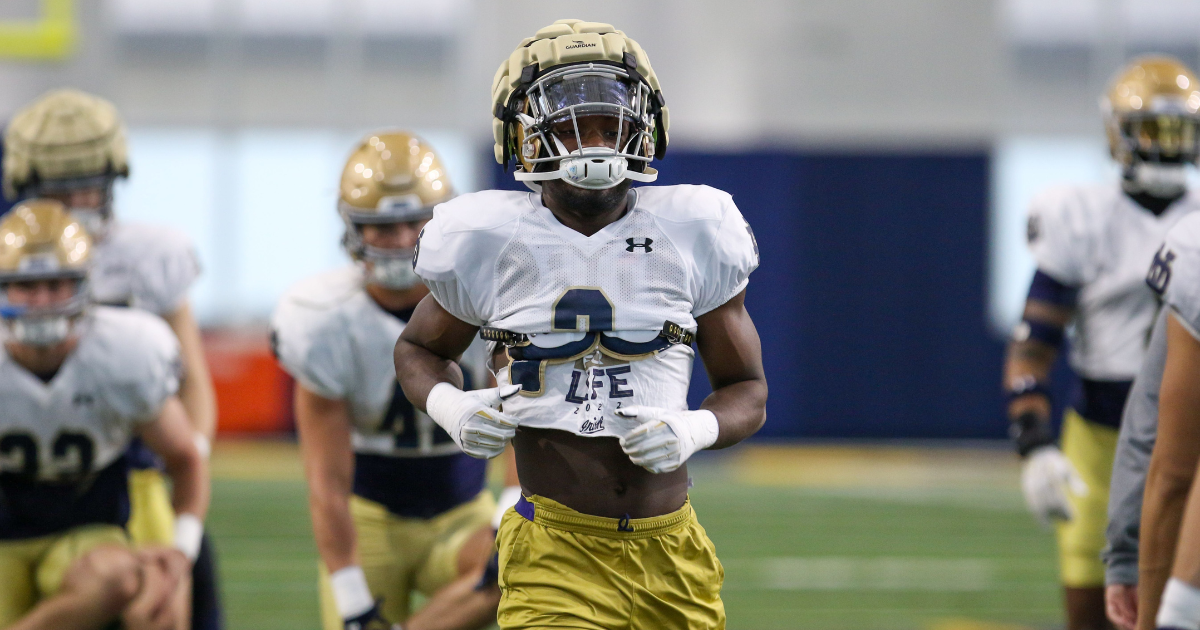 Notre Dame Football Spring Practice Preview: Irish Item No. 4, The LBs