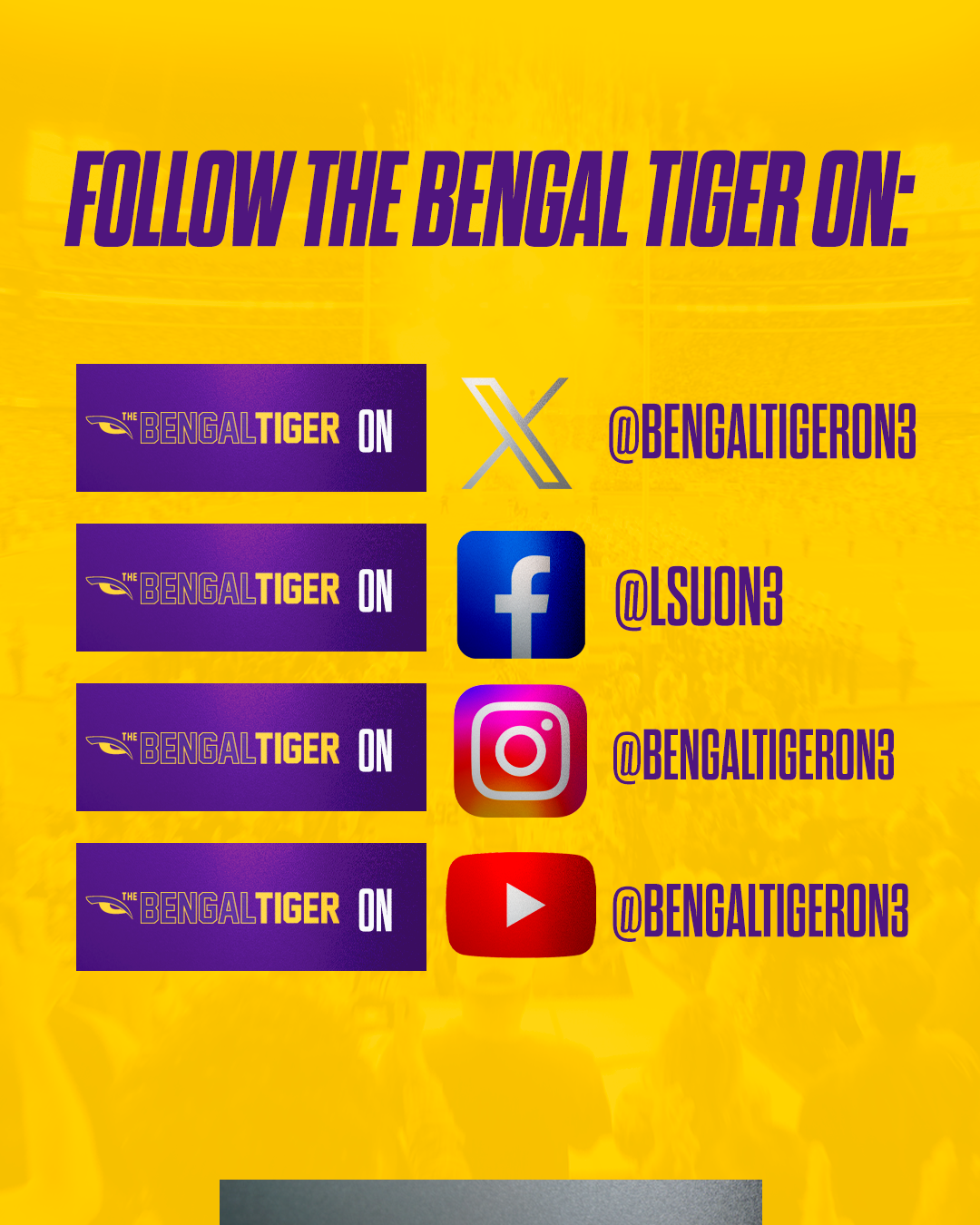 Follow Lsu S The Bengal Tiger On Social Media Podcasts And More