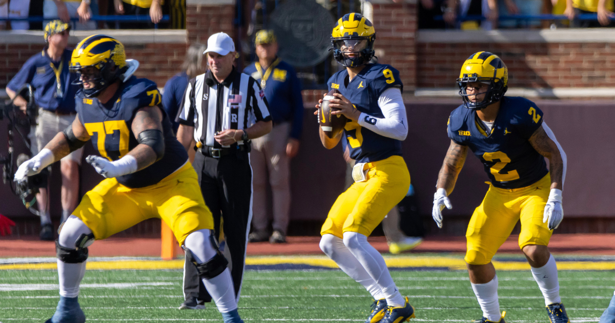 Snap counts, PFF grades: Roman Wilson leads Michigan offense with  incredible TD grab 