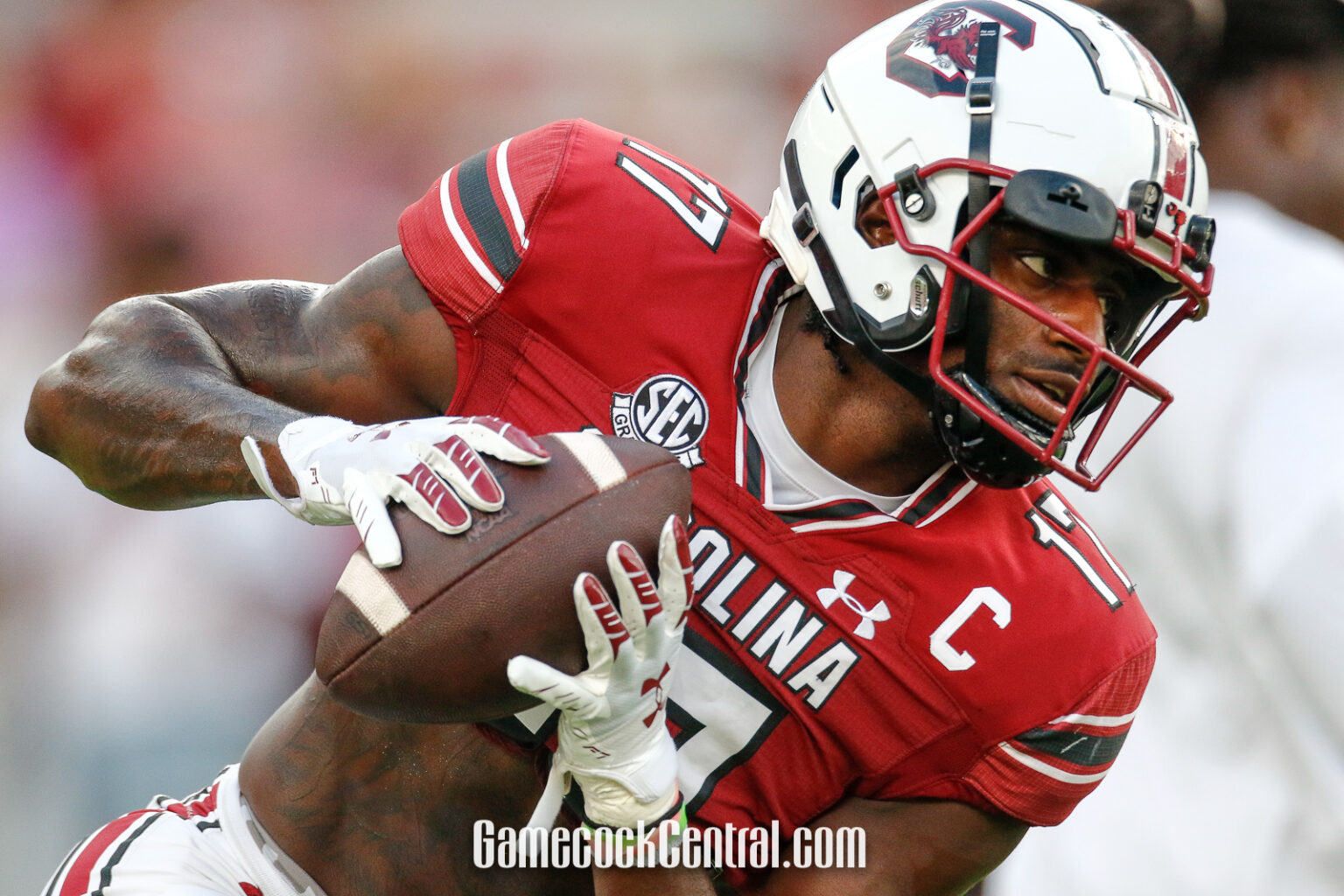 Photo gallery More scenes from the South CarolinaFurman football game