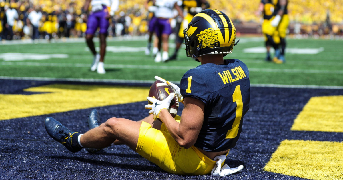 Snap counts, PFF grades: Roman Wilson leads Michigan offense with  incredible TD grab 