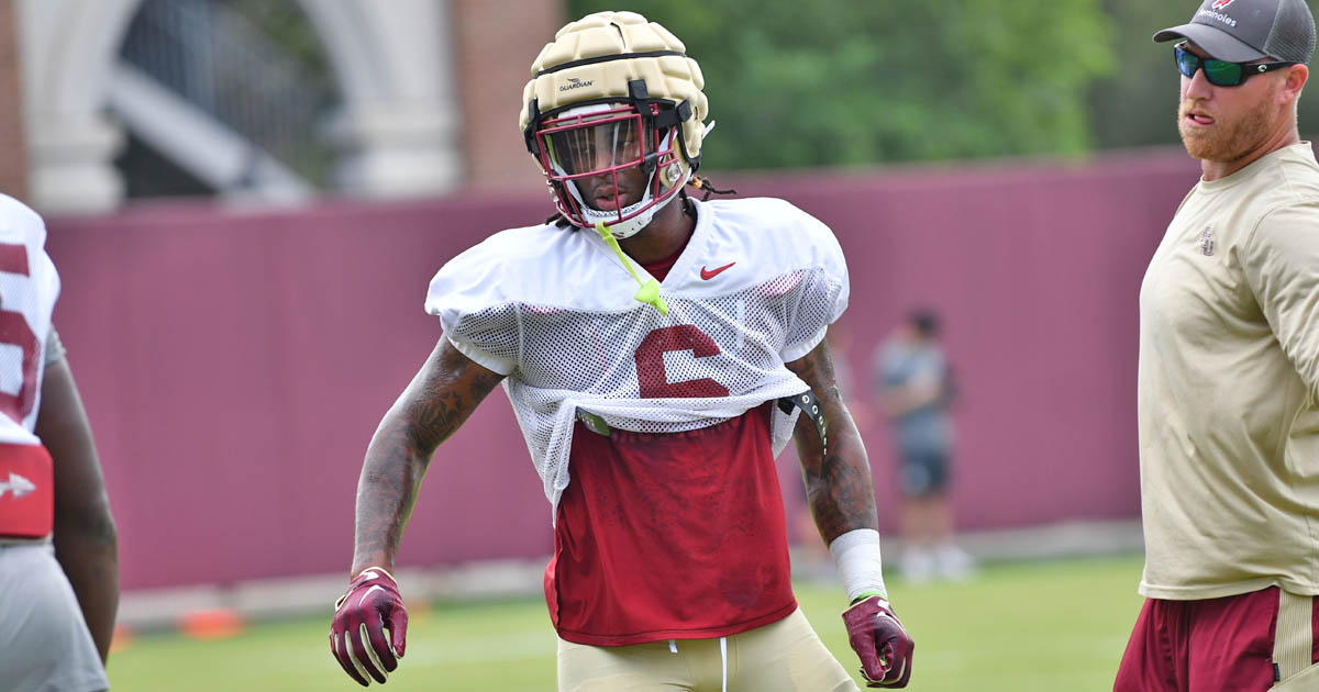 FSU TE Jaheim Bell shines, WR Johnny Wilson returns