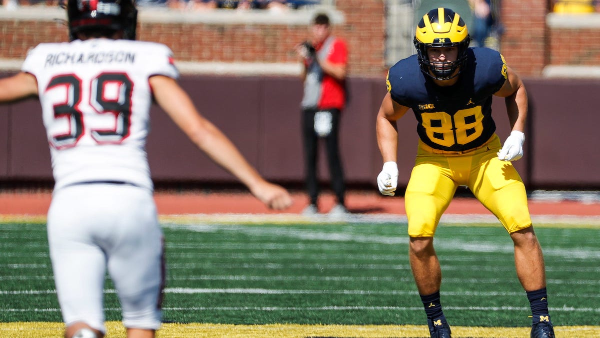 Michigan TE Matthew Hibner enters NCAA Transfer Portal