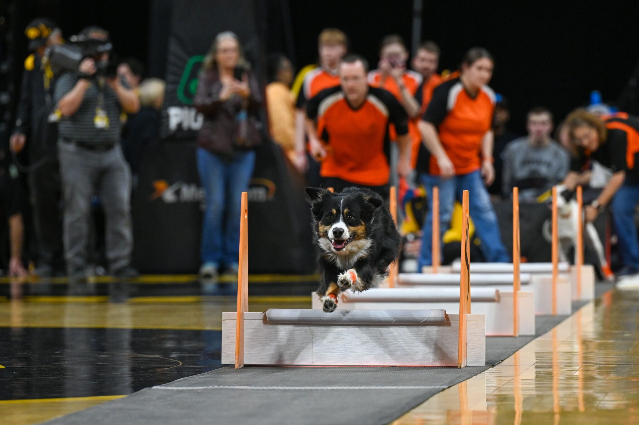 PHOTO GALLERY Iowa Women's Basketball vs LoyolaChicago