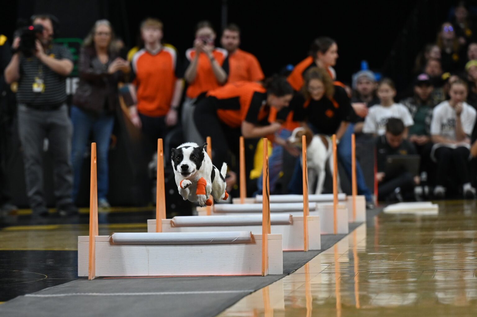 PHOTO GALLERY Iowa Women's Basketball vs LoyolaChicago