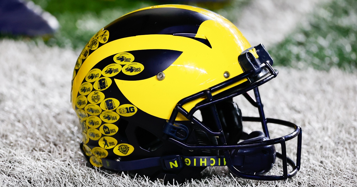 Michigan TE Matthew Hibner enters NCAA Transfer Portal