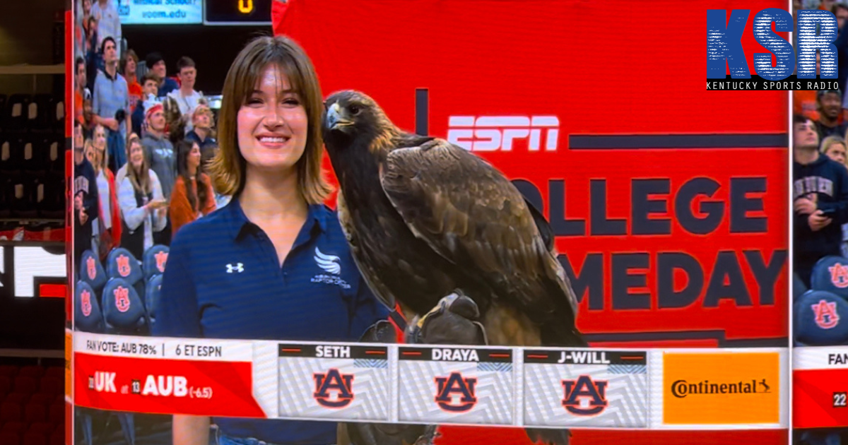 College GameDay picks Auburn over Kentucky in clean sweep - On3