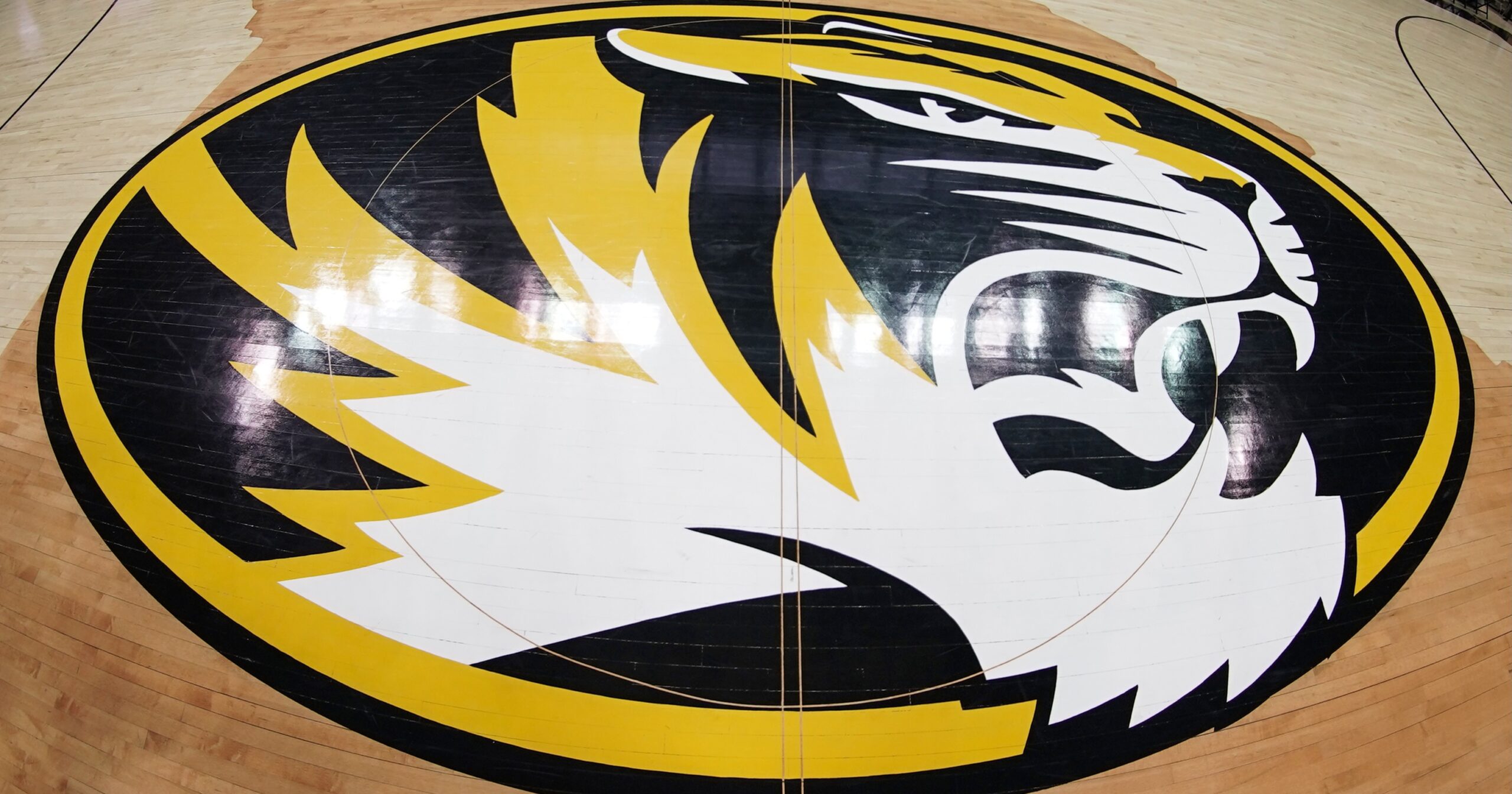 Kellie Harper Joins Missouri as Women's Basketball Head Coach