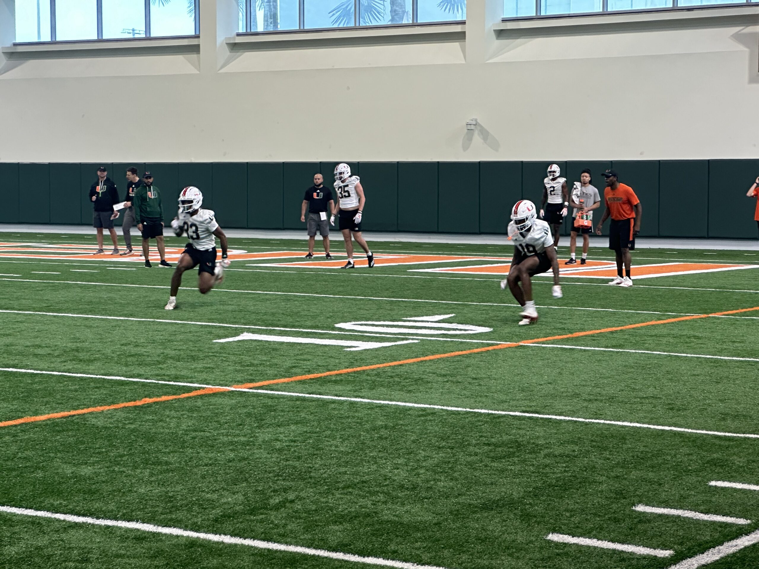 Canesport 247 - 6vlp3ly