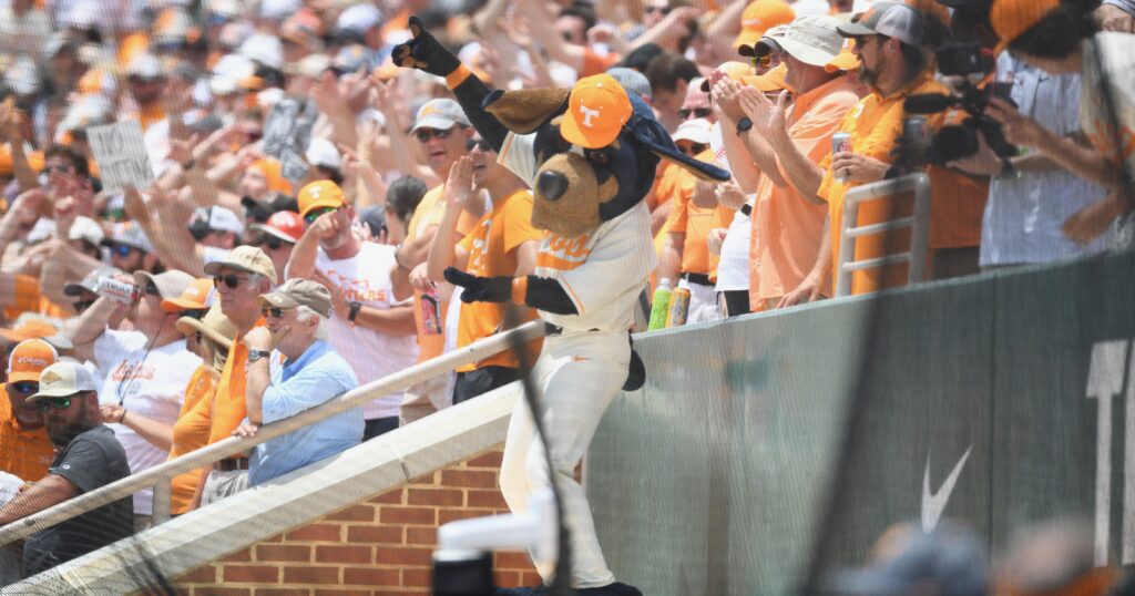 Tennessee Baseball | Jamar Coach/News Sentinel / USA TODAY NETWORK