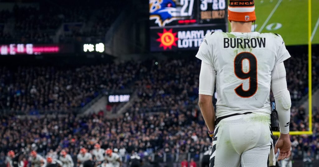 joe burrow bengals afc north