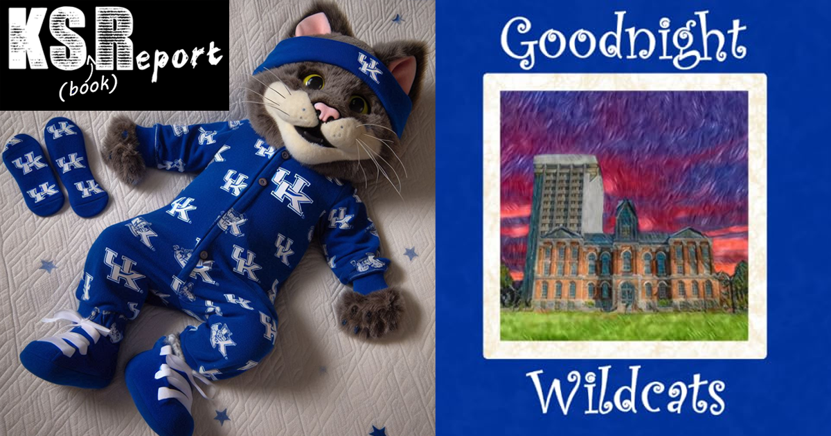 KS(Book)Report: Goodnight Wildcats | by Samantha Hawthorne