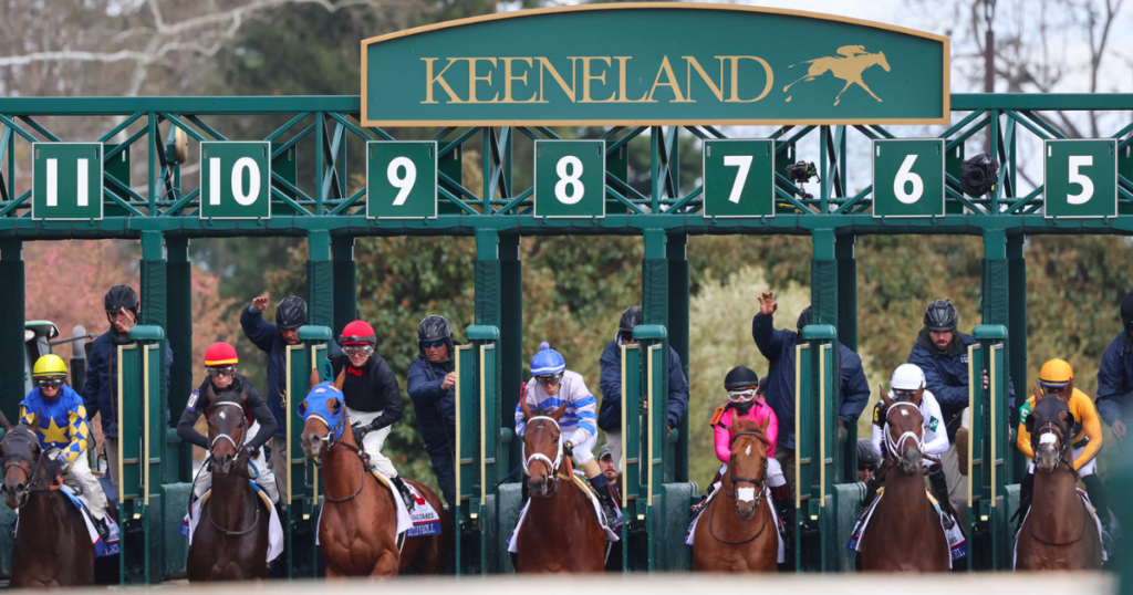 KSR Gameday: Κεντάκι Μπάσκετ και Μπέιζμπολ σε δράση στο Mardi Gras