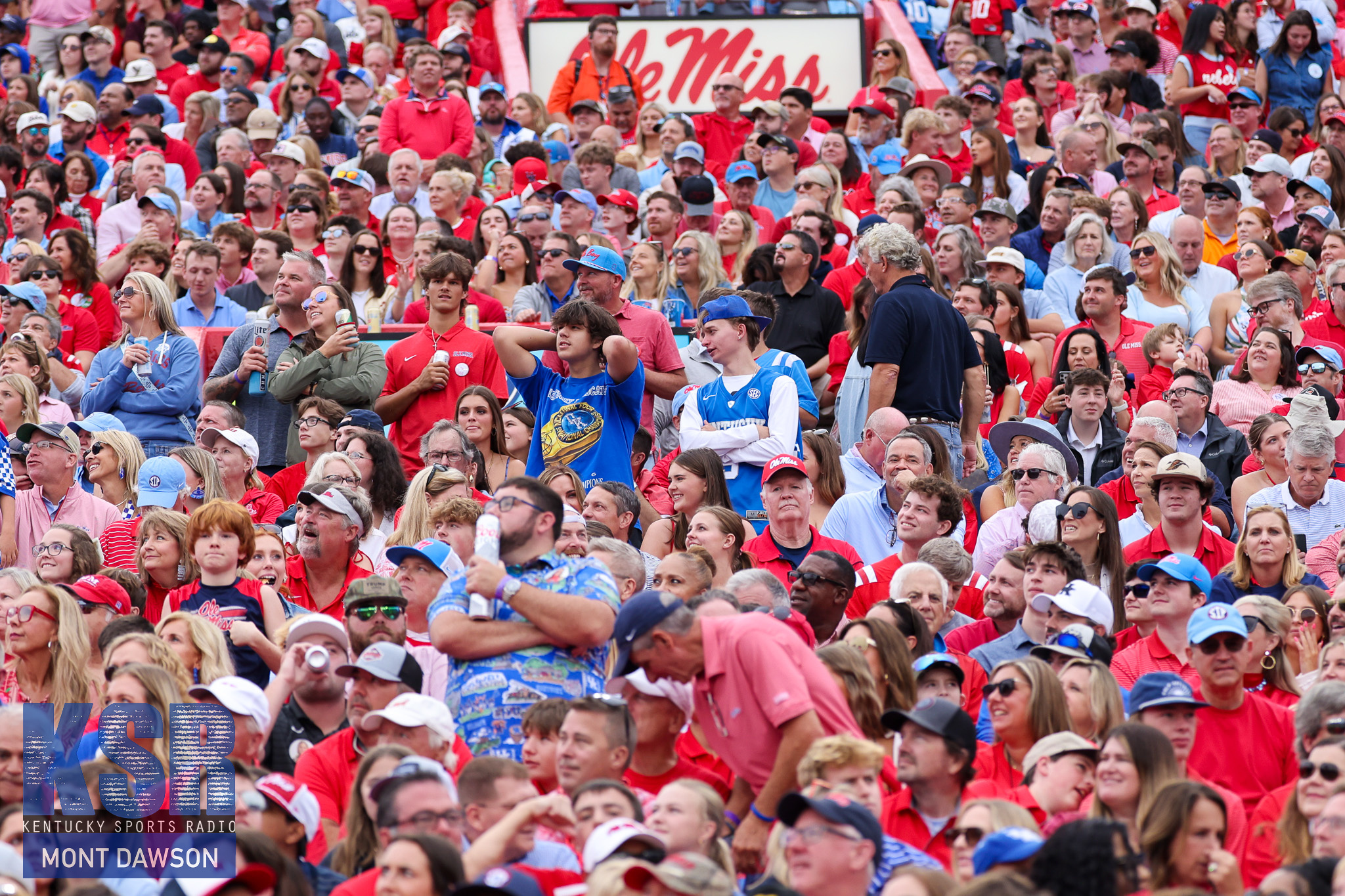 Ole Miss vs Georgia: Squirrel interrupts play for second time at Vaught-Hemingway Stadium in 2024