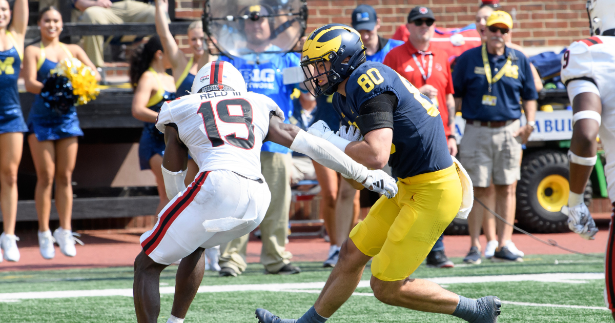 Michigan football tight end pecking order: Summer outlook on 8 TEs