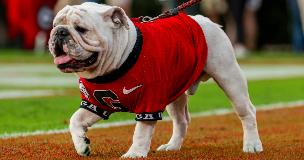 Snap Count Surprisingly tight ranks against Miss State On3