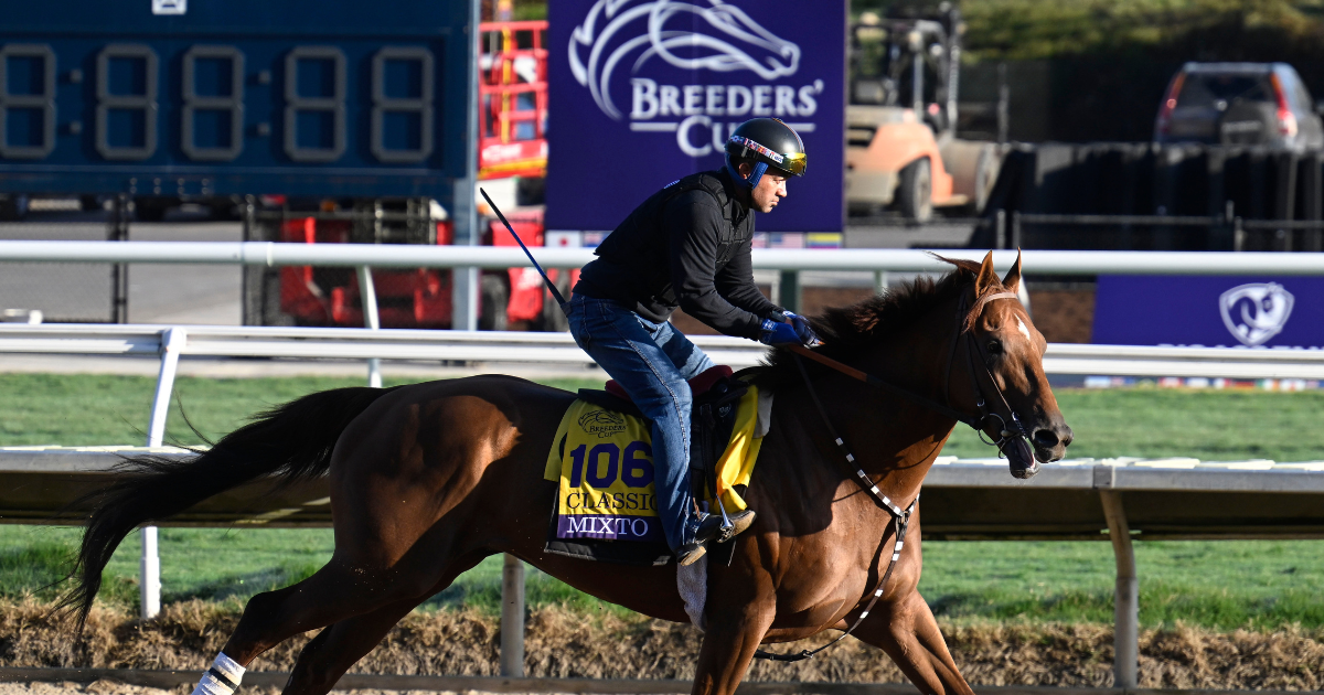 An Incomplete Guide to the 2024 Breeders’ Cup World Championships