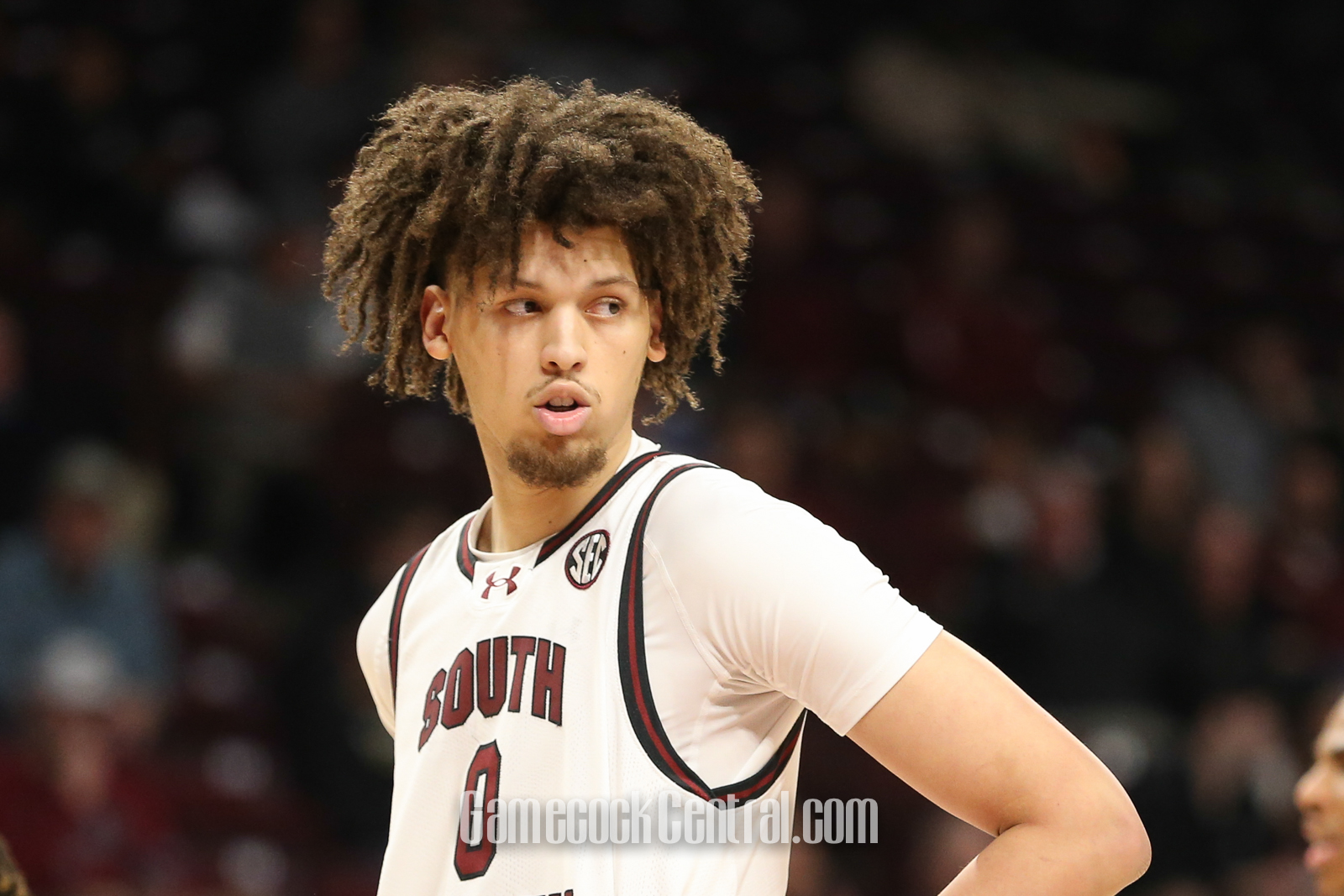 South Carolina basketball makes huge jump in NET rankings