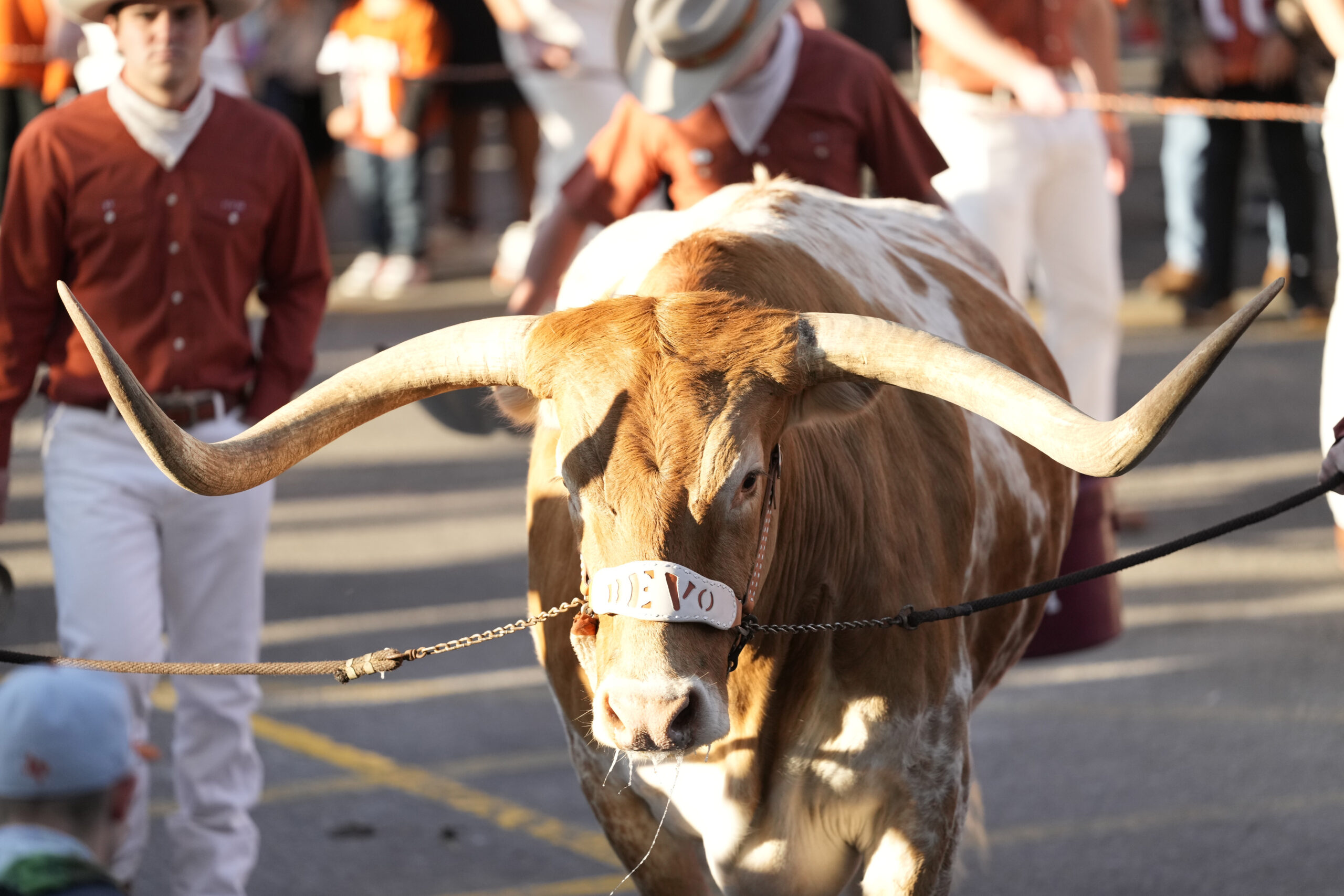Texas Is The Current CFP Championship Favorite, But What Does It Really Mean?