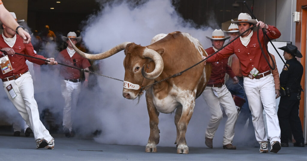 Bevo