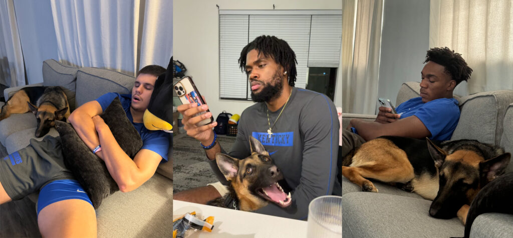 Jaxson Robinson's dog Astro hangs out with his teammates. From left to right: Kerr Kriisa, Ansley Almonor, Amari Williams. - Photo courtesy of Jaxson Robinson