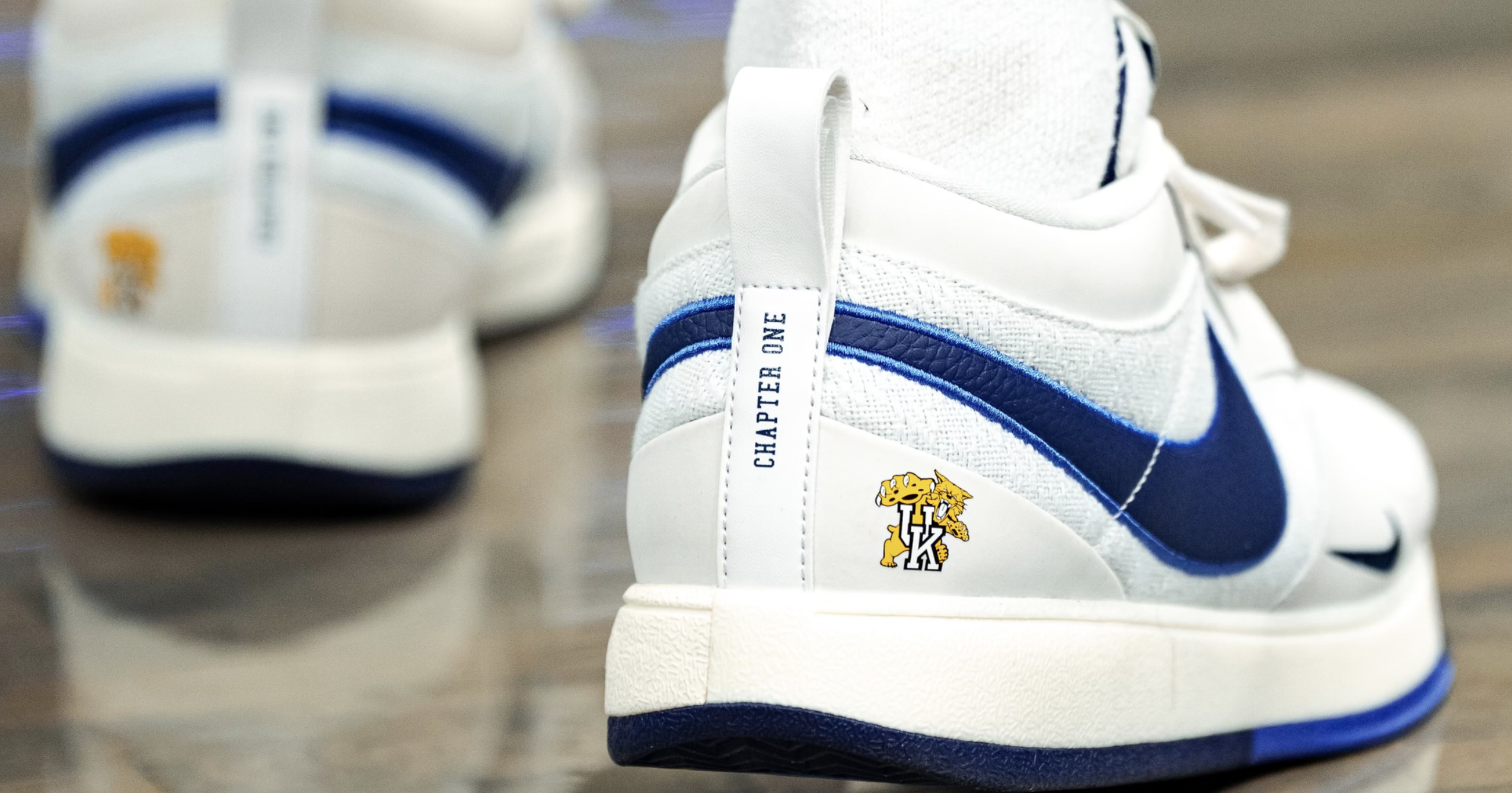 devin booker blue shoes