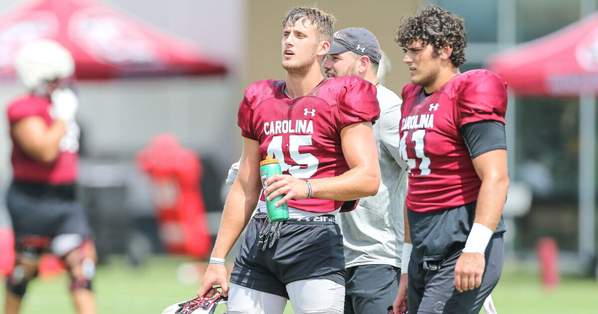 South Carolina grants scholarship to in-state walk-on linebacker