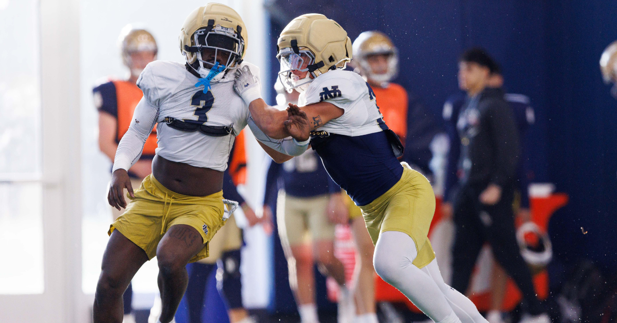 Notre Dame football: Five defensive players who need a big summer