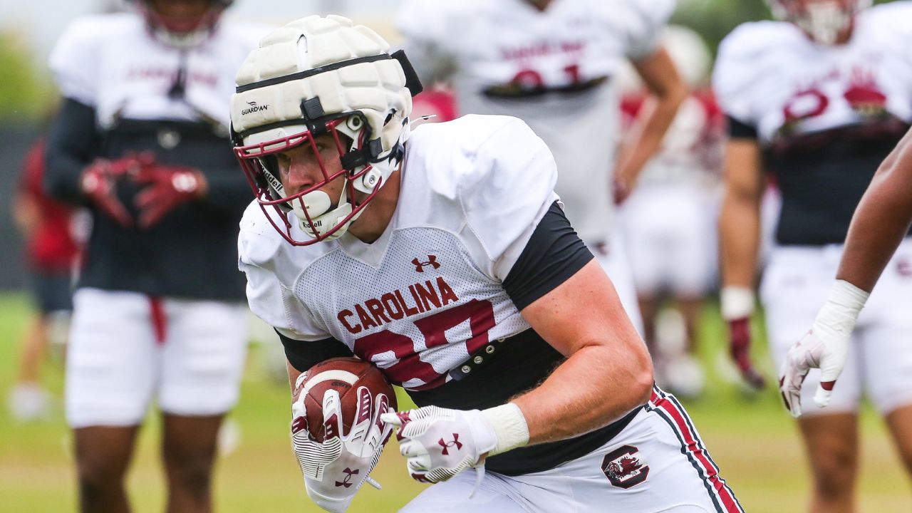 Post-spring assessment of South Carolina's 2025 TE room