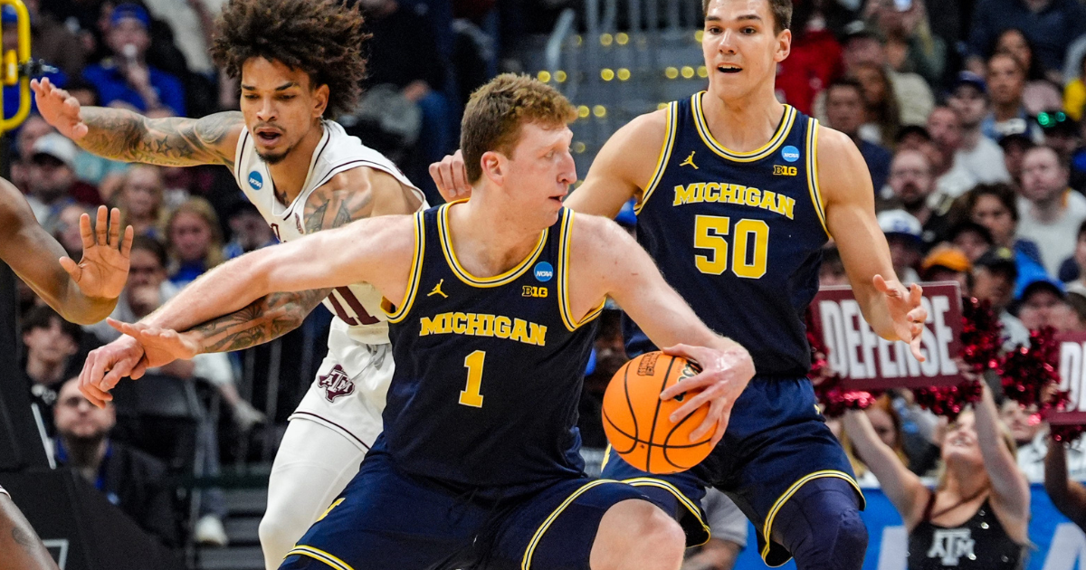 Michigan basketball big man Danny Wolf declares for 2025 NBA Draft