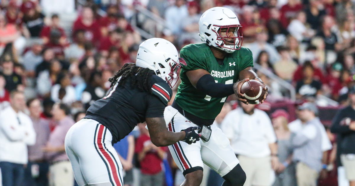Players who impressed during South Carolina's spring game