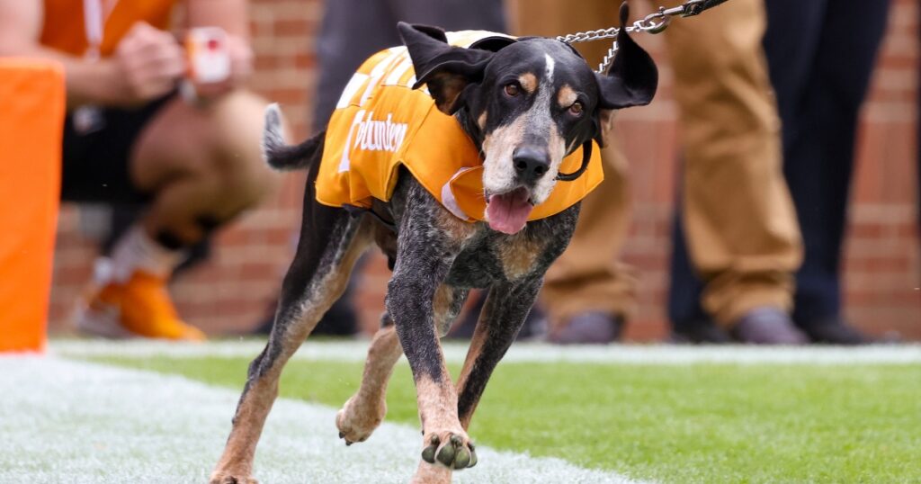 Tennessee Smokey