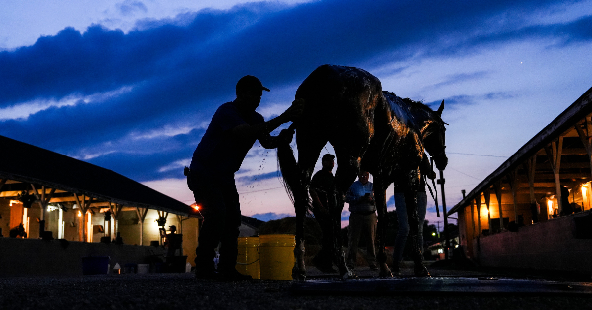 KSR Today: A Backside Morning at Churchill Downs