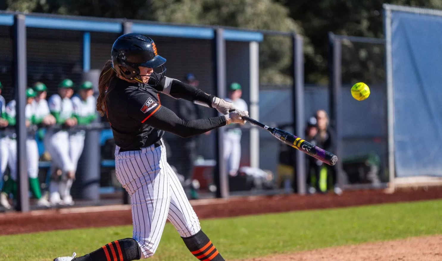 2025 College Softball Conference Awards